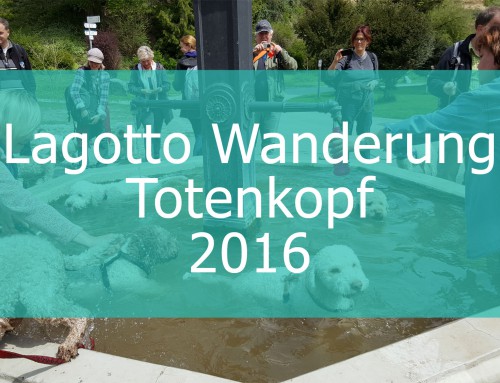 Totenkopf 2016