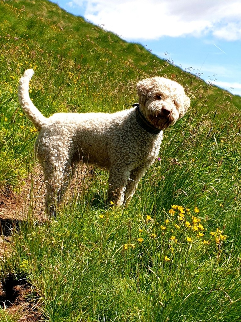 Südtirol