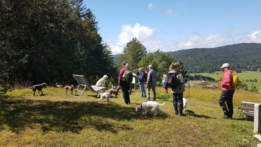 IMG-20190810-WA0042