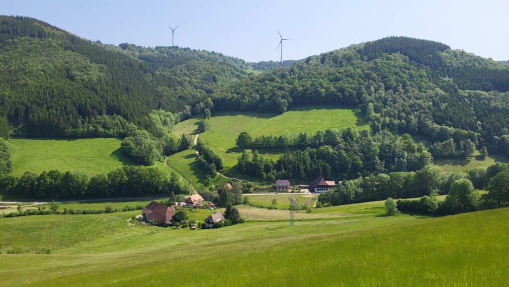 Huber-Felsentour (Schwarzwald) eine Lagottitour