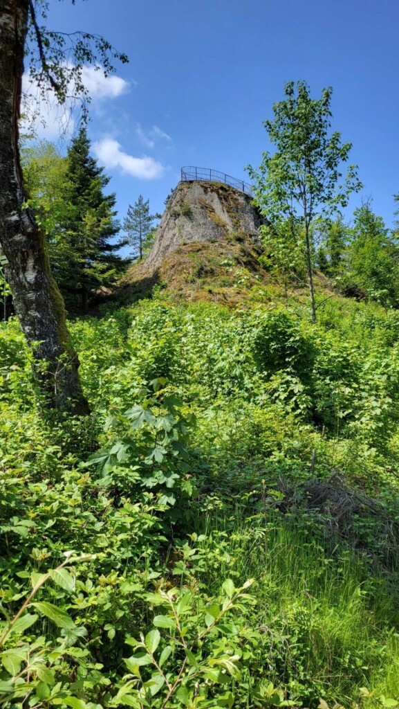 Huber-Felsentour (Schwarzwald) eine Lagottitour