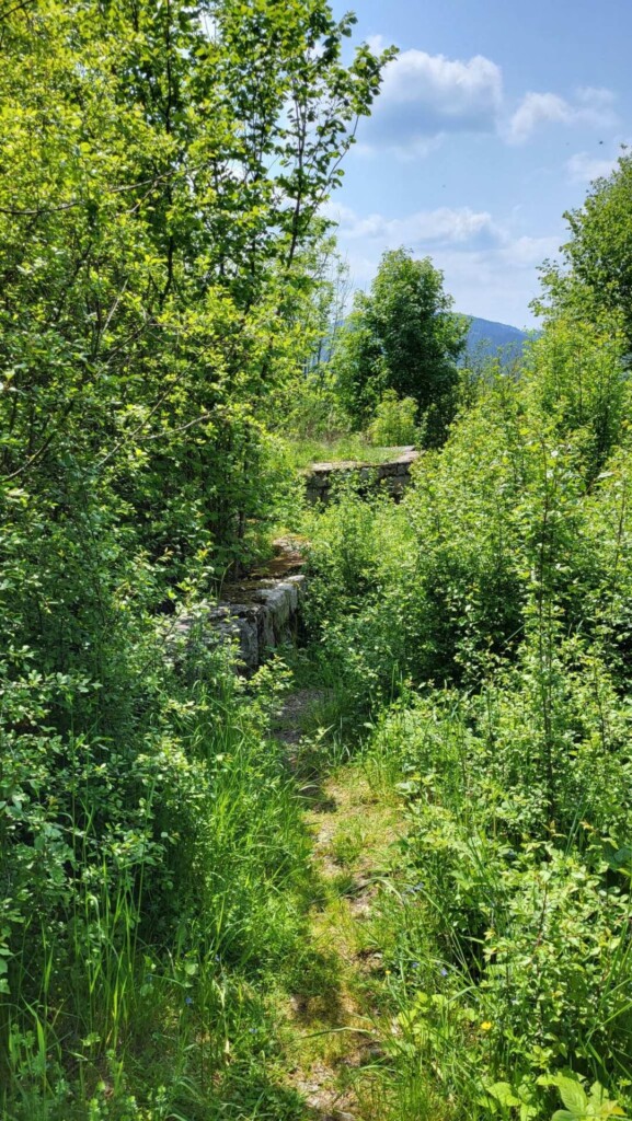 Huber-Felsentour (Schwarzwald) eine Lagottitour