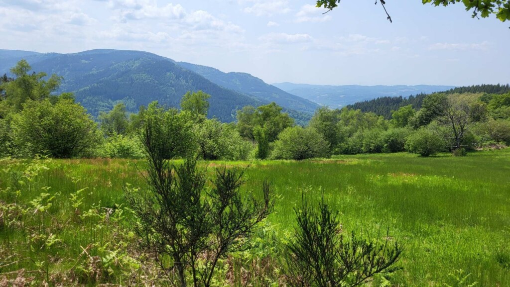 Huber-Felsentour (Schwarzwald) eine Lagottitour