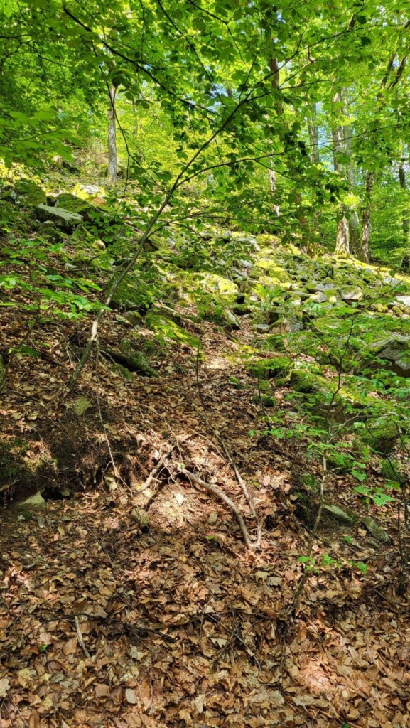 Huber-Felsentour (Schwarzwald) eine Lagottitour