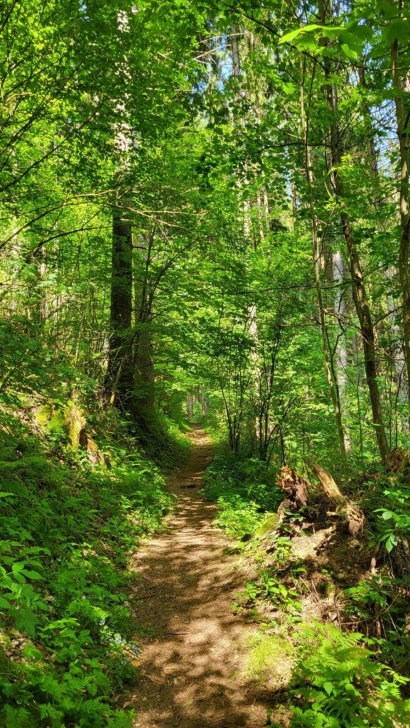 Huber-Felsentour (Schwarzwald) eine Lagottitour