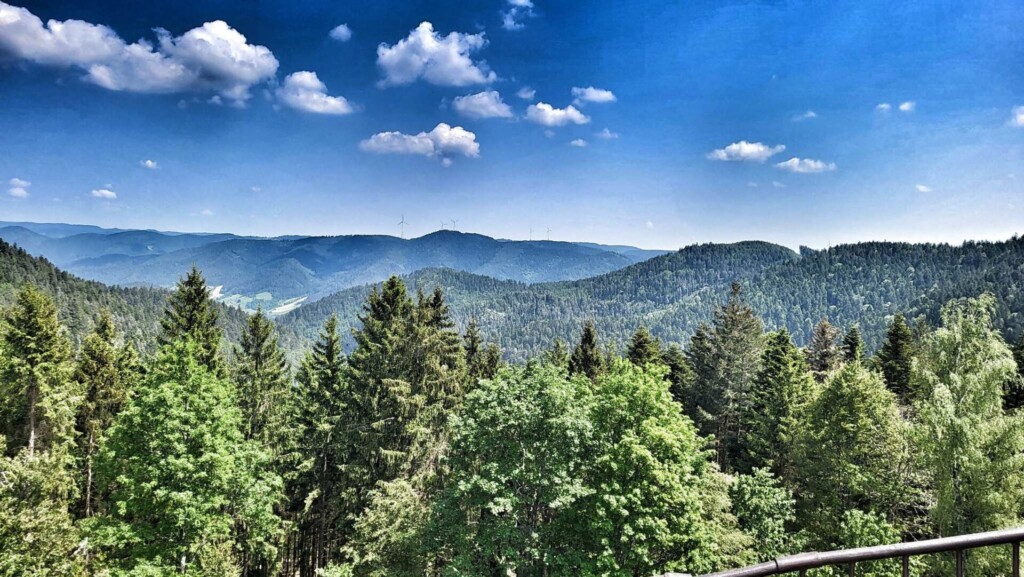 Huber-Felsentour (Schwarzwald) eine Lagottitour