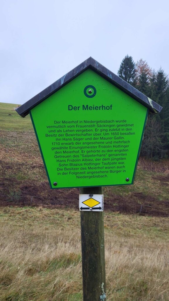 Kulturelle Höhenweg mit Alpenblick (Hotzenwald)eine Lagottitour 🐾🥾🐾
