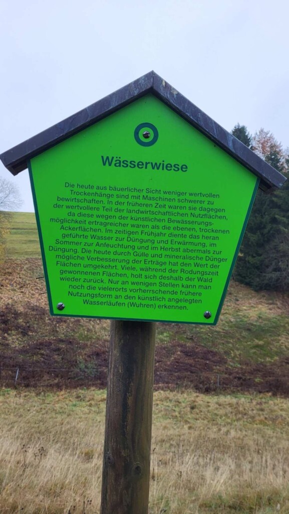 Kulturelle Höhenweg mit Alpenblick (Hotzenwald)eine Lagottitour 🐾🥾🐾