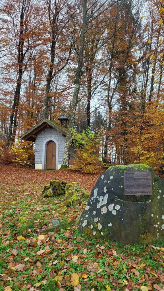 Kulturelle Höhenweg mit Alpenblick (Hotzenwald)eine Lagottitour 🐾🥾🐾