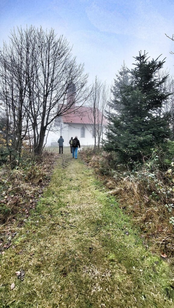 Kulturelle Höhenweg mit Alpenblick (Hotzenwald)eine Lagottitour 🐾🥾🐾