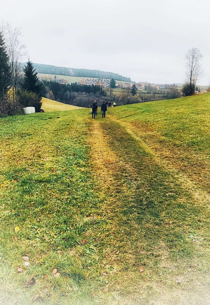 Kulturelle Höhenweg mit Alpenblick (Hotzenwald)eine Lagottitour 🐾🥾🐾