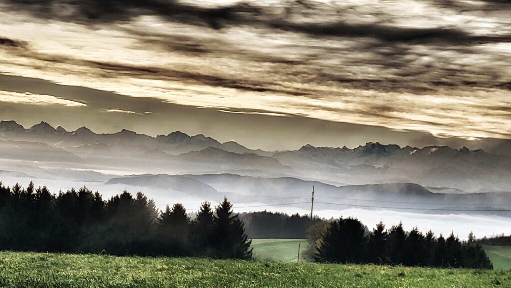Kulturelle Höhenweg mit Alpenblick (Hotzenwald)eine Lagottitour 🐾🥾🐾