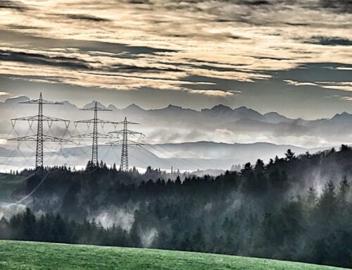Kulturelle Höhenweg mit Alpenblick (Hotzenwald)eine Lagottitour