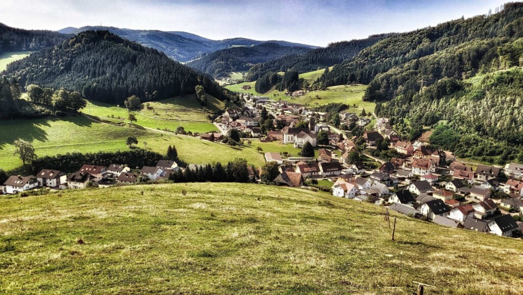 Gute laune Runde von Mühlenbach(Ortenaukreis ) 🐾🥾☀️Lagotti Tour 🐾
